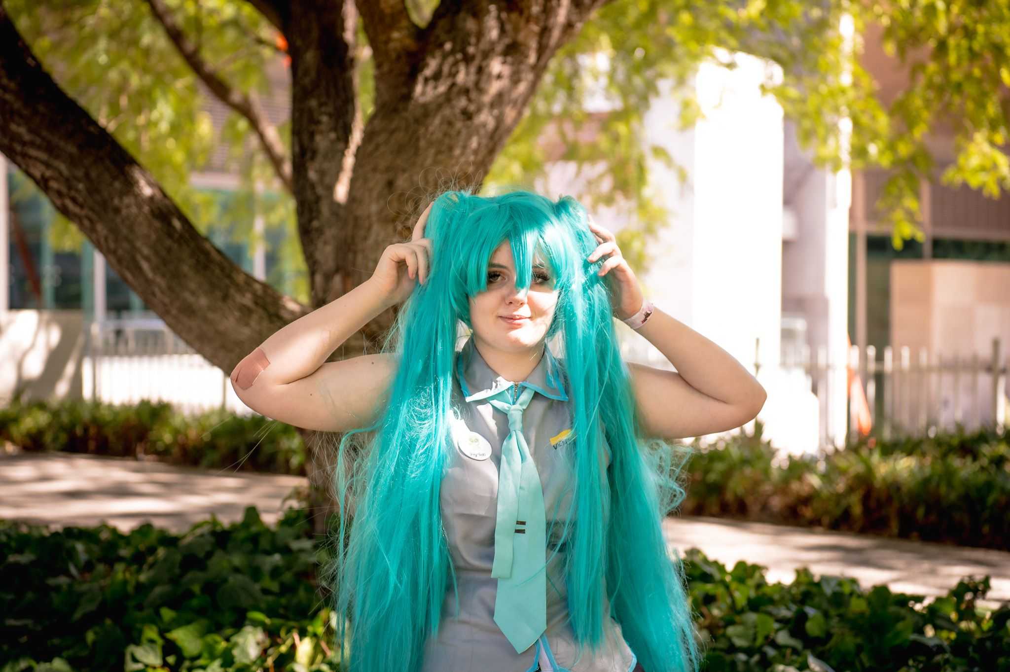 DSC 0260